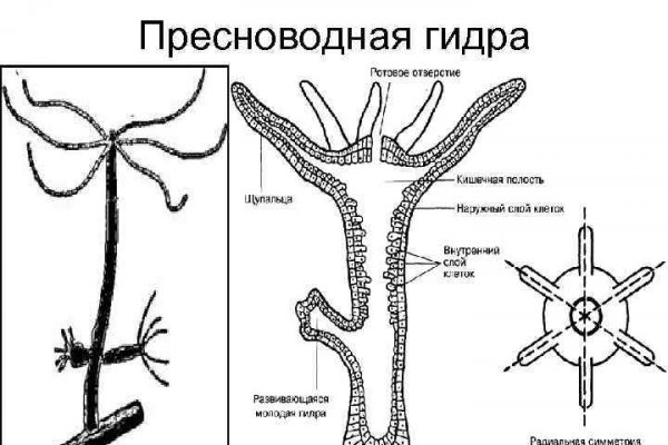 Блэк спрут тиндер