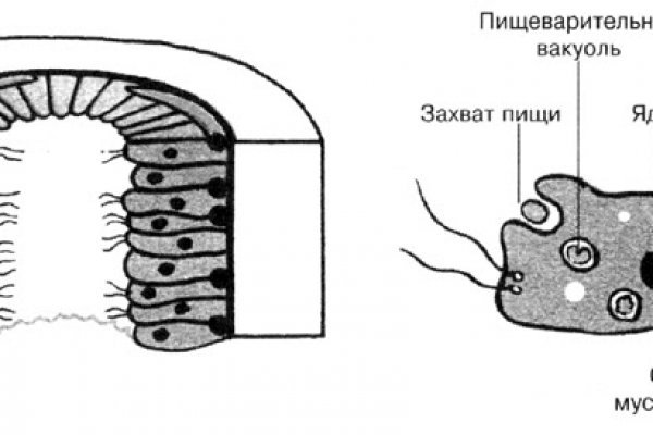 Купить фишинг ссылку blacksprut adress com