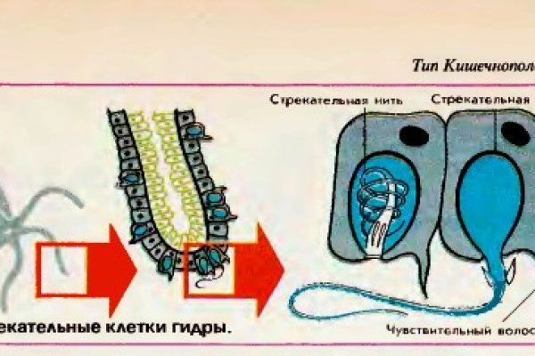 Прямая ссылка на блэкспрут bs2webes net