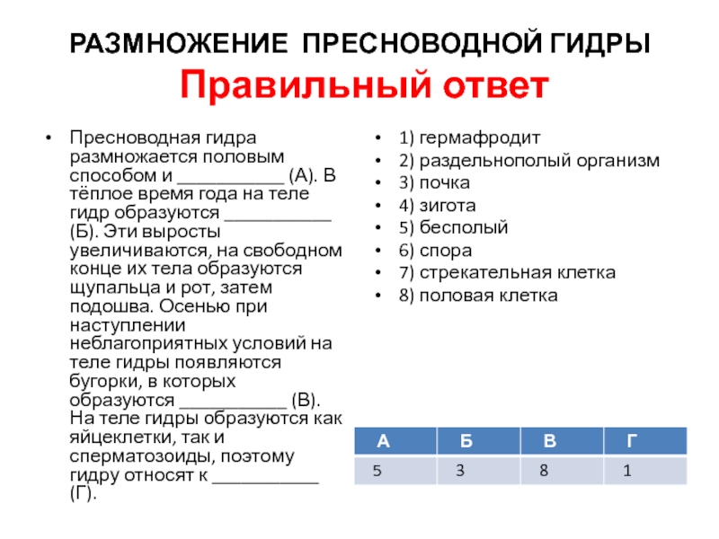 Блэк спрут официальный сайт ссылка